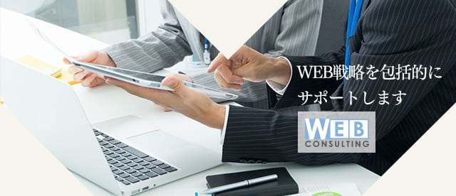 WEB CONSULTION